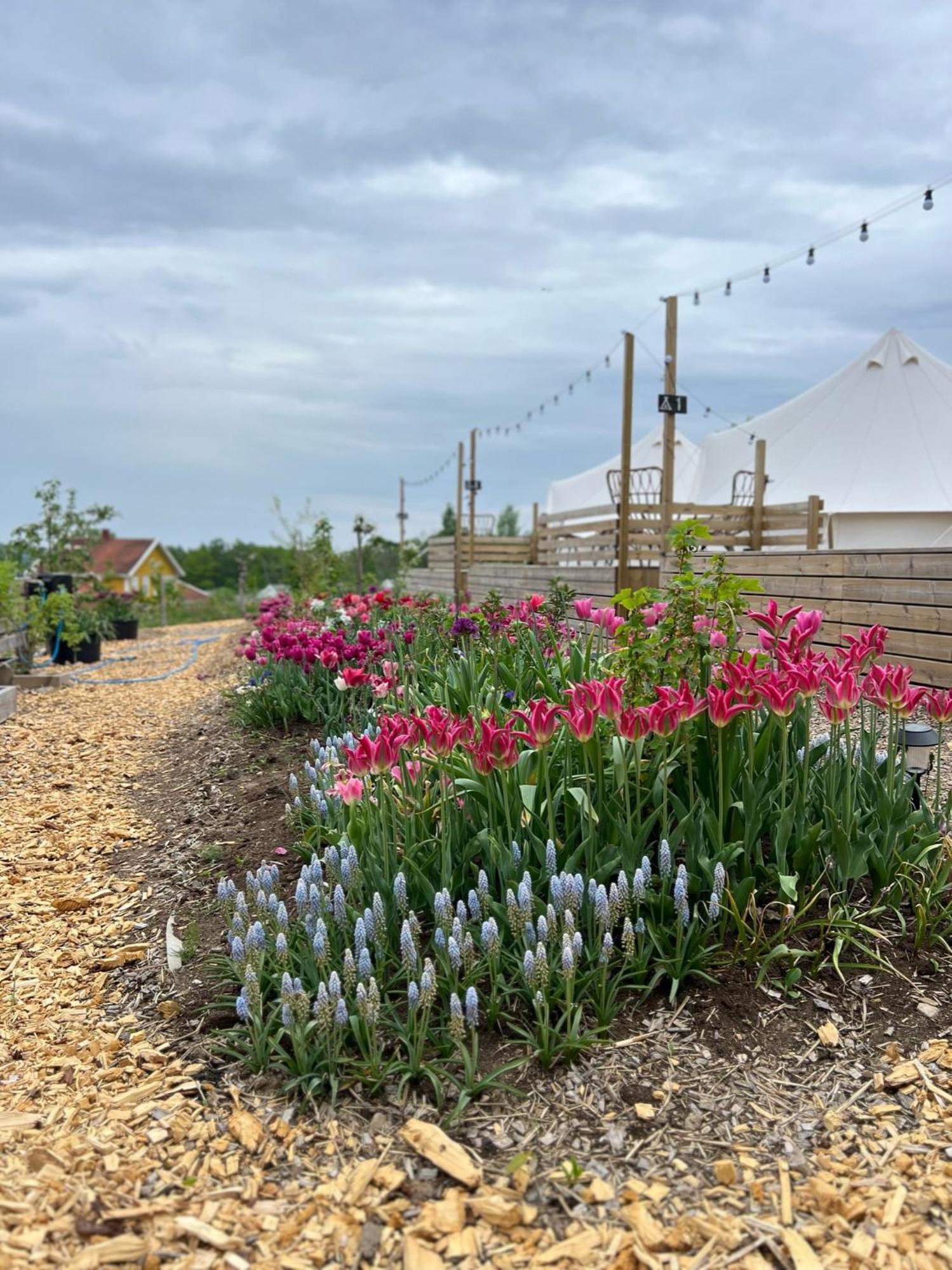Hotel Vaettervy Glamping à Habo Extérieur photo
